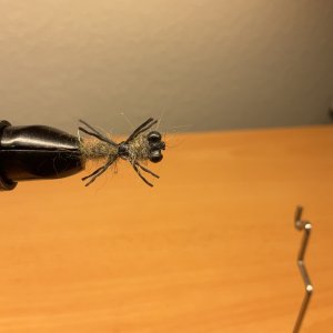 IMG_0168.jpeg