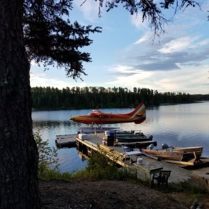 20170805_062304.jpg