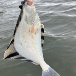 0F364666-07AC-4957-A440-41C9548D1726.jpeg