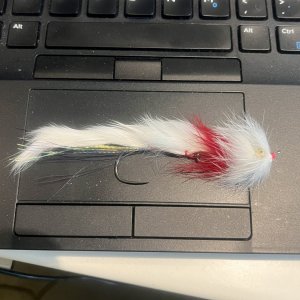 IMG_6740.jpeg