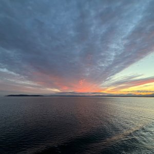 IMG_3576.jpeg
