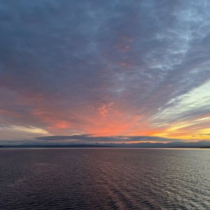 IMG_3574.jpeg