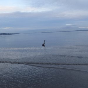 IMG_3596.jpeg
