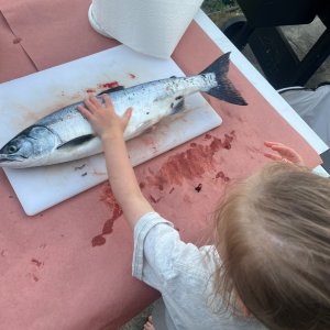2025-08-20 19.57.11.jpg