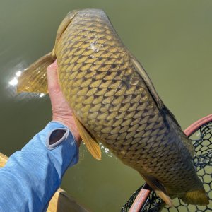 IMG_5940.jpg