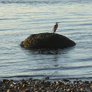 IMG_3608.jpeg