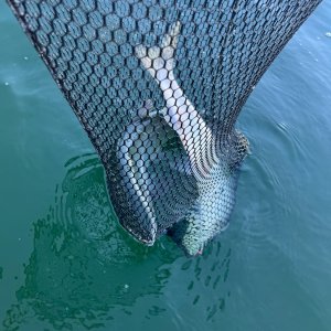 IMG_4763.jpeg