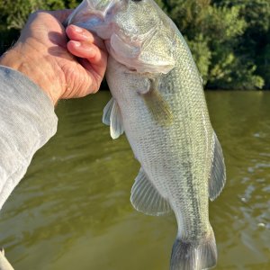 IMG_7255.jpeg