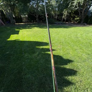 IMG_3363.jpeg