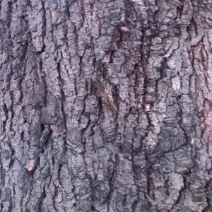 IMG_3613.jpeg