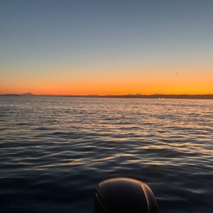 IMG_1432.jpeg