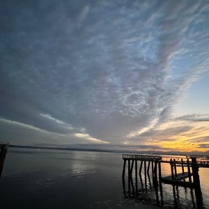 IMG_3567.jpeg