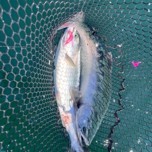 IMG_3966.jpeg