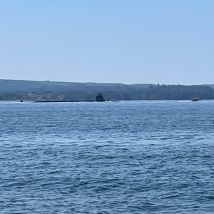 IMG_4075.jpeg