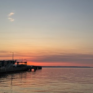 IMG_8524.jpeg