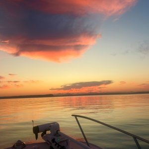 IMG_1452.jpeg