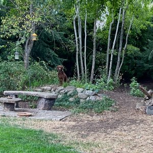 IMG_1952.jpeg