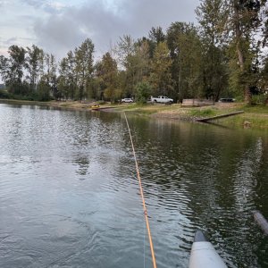 IMG_2116.jpeg