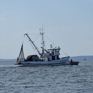 IMG_8570.jpeg
