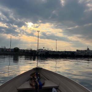 IMG_4804.jpeg