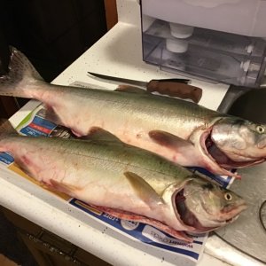 IMG_4253.jpeg