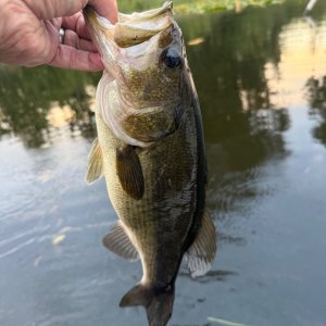 IMG_0963.jpeg
