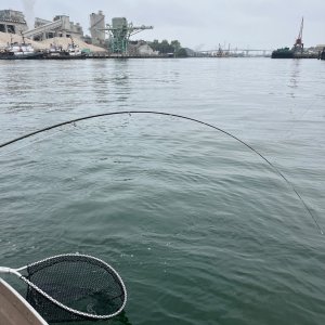 IMG_4830.jpeg