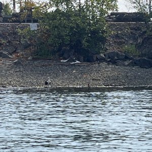 IMG_4851.jpeg