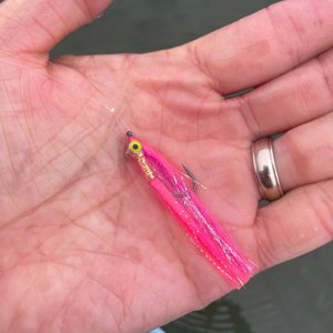 IMG_4274.jpeg