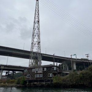IMG_4881.jpeg