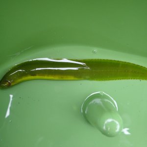 IMG_3735.jpeg
