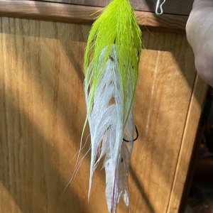IMG_5045.jpeg