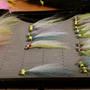 20180302_162059.jpg