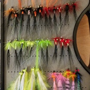 20180302_161848.jpg