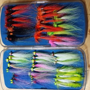 Comets and clousers.jpg