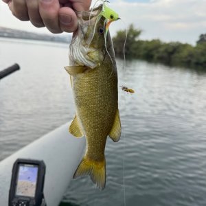 IMG_2183.jpeg