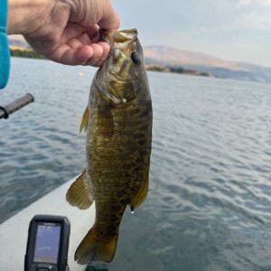 IMG_2188.jpeg