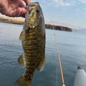 IMG_2192.jpeg