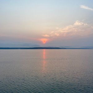 IMG_4325.jpg