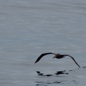 IMG_9763.jpeg