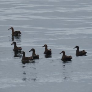 IMG_9797.jpeg