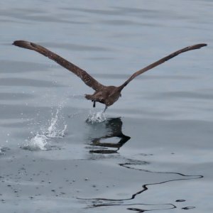 IMG_9878.jpeg