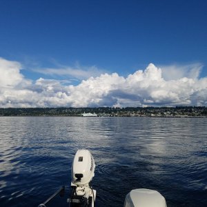 20190910_164446.jpg