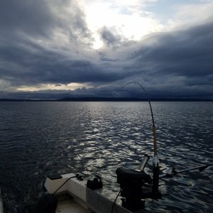 20190909_181401.jpg