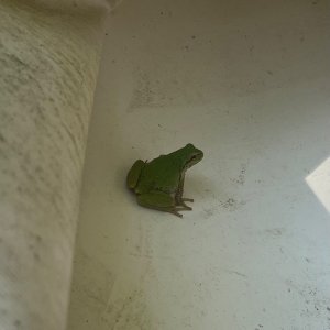IMG_6190.jpeg
