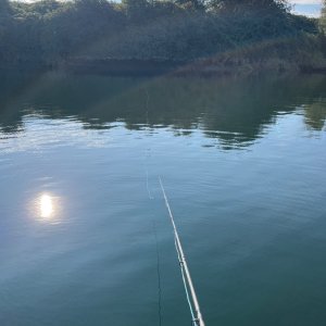 IMG_4943.jpeg