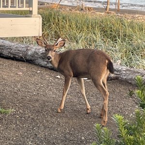 IMG_6052.jpg