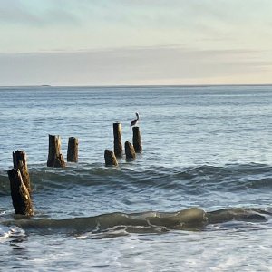 IMG_6047.jpg