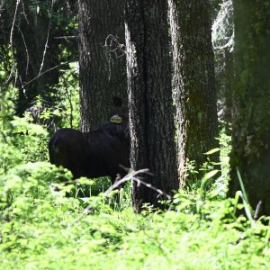 DSC_2211.jpeg