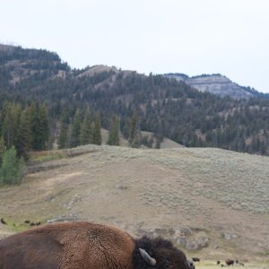 IMG_5904.jpeg